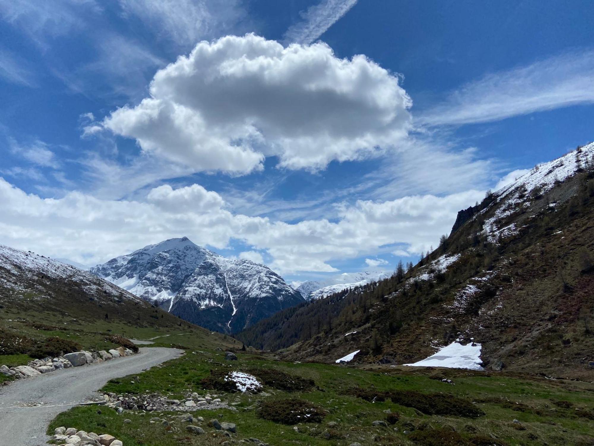 Madulain Alp Es-Cha Dadour Bed & Breakfast エクステリア 写真